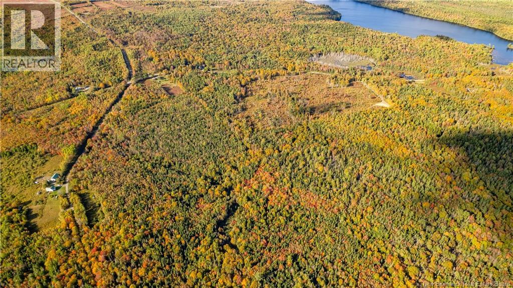 Lot Clatter Road, Rollingdam, New Brunswick  E5A 2Y9 - Photo 25 - NB127781