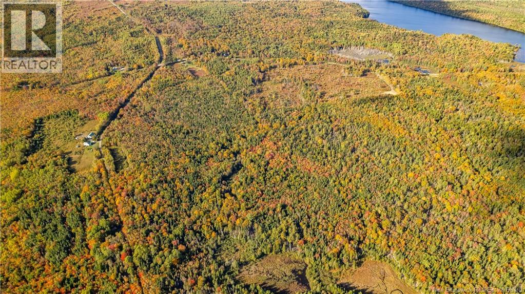 Lot Clatter Road, Rollingdam, New Brunswick  E5A 2Y9 - Photo 26 - NB127781
