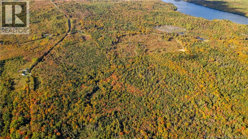 Lot Clatter Road, Rollingdam, New Brunswick  E5A 2Y9 - Photo 27 - NB127781