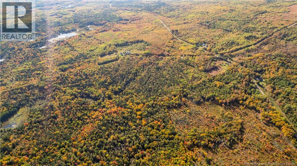 Lot Clatter Road, Rollingdam, New Brunswick  E5A 2Y9 - Photo 28 - NB127781