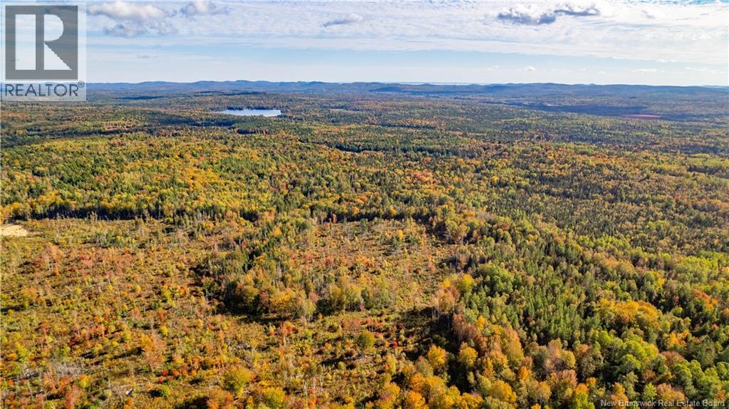 Lot Clatter Road, Rollingdam, New Brunswick  E5A 2Y9 - Photo 3 - NB127781