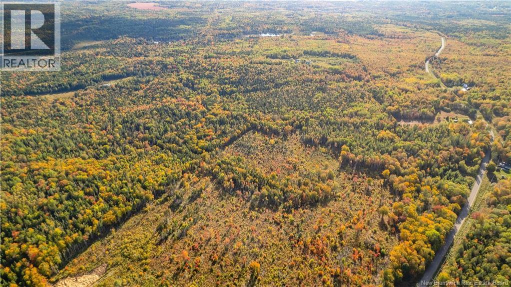 Lot Clatter Road, Rollingdam, New Brunswick  E5A 2Y9 - Photo 31 - NB127781