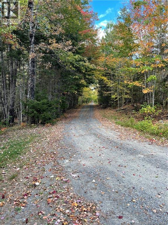 Lot Clatter Road, Rollingdam, New Brunswick  E5A 2Y9 - Photo 33 - NB127781