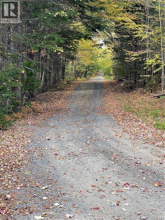 Lot Clatter Road, Rollingdam, New Brunswick  E5A 2Y9 - Photo 34 - NB127781