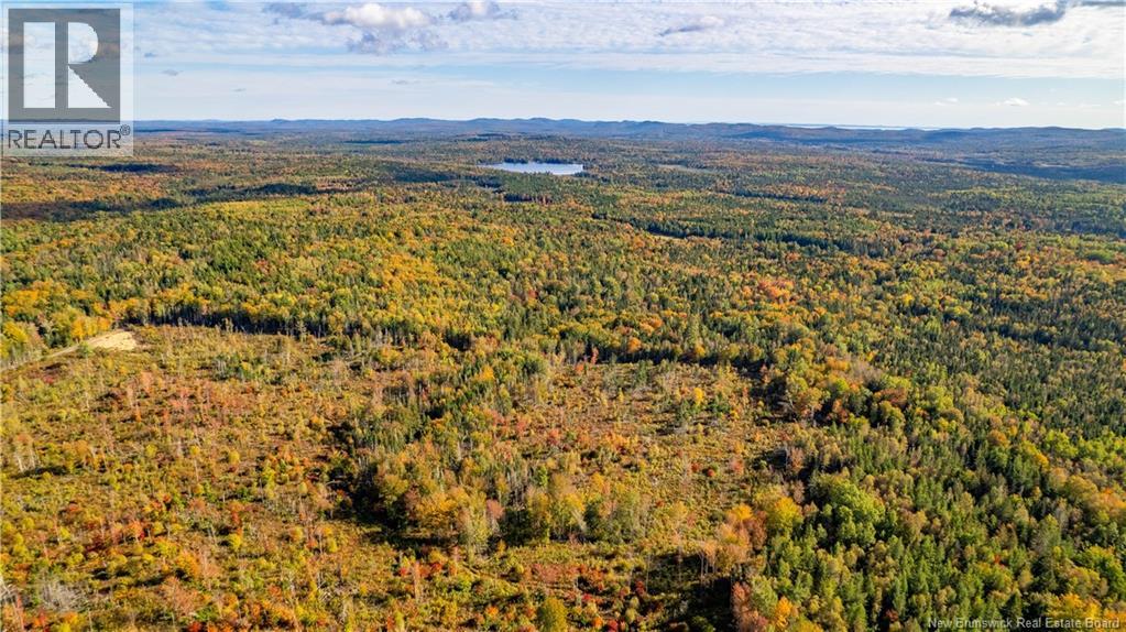 Lot Clatter Road, Rollingdam, New Brunswick  E5A 2Y9 - Photo 4 - NB127781