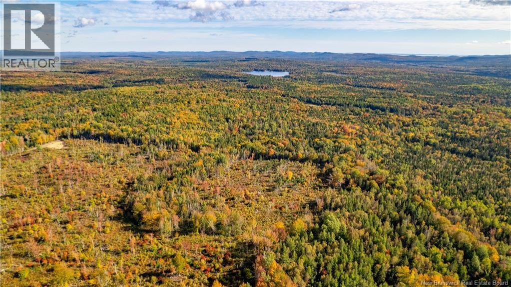Lot Clatter Road, Rollingdam, New Brunswick  E5A 2Y9 - Photo 5 - NB127781