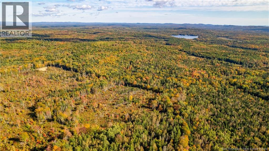 Lot Clatter Road, Rollingdam, New Brunswick  E5A 2Y9 - Photo 6 - NB127781