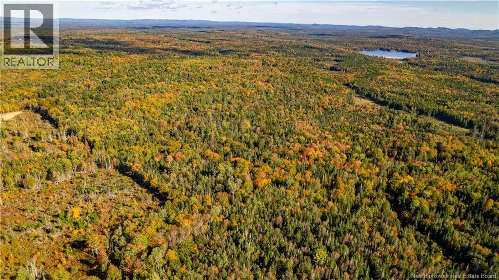 Lot Clatter Road, Rollingdam, New Brunswick  E5A 2Y9 - Photo 7 - NB127781