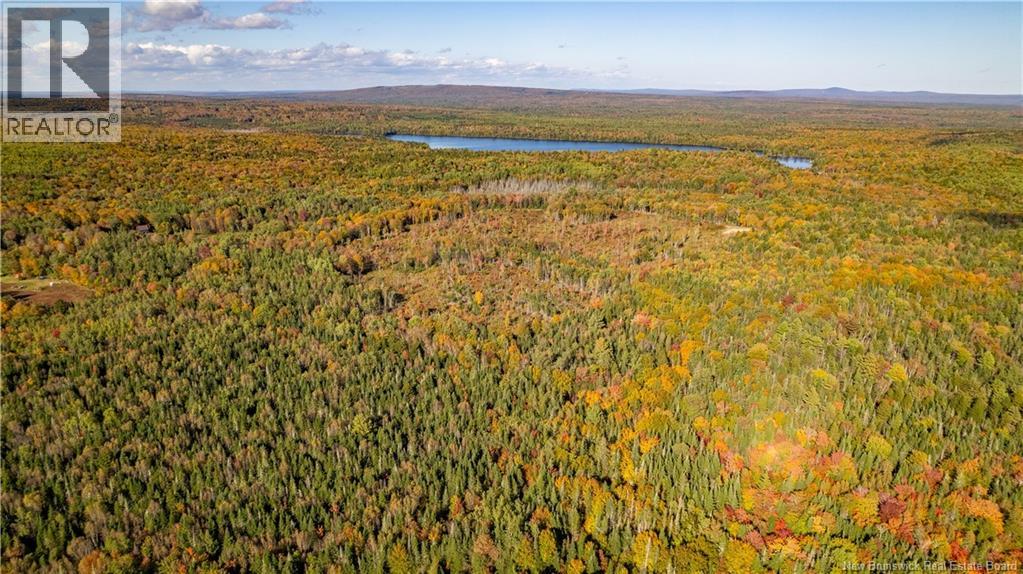 Lot Clatter Road, Rollingdam, New Brunswick  E5A 2Y9 - Photo 8 - NB127781