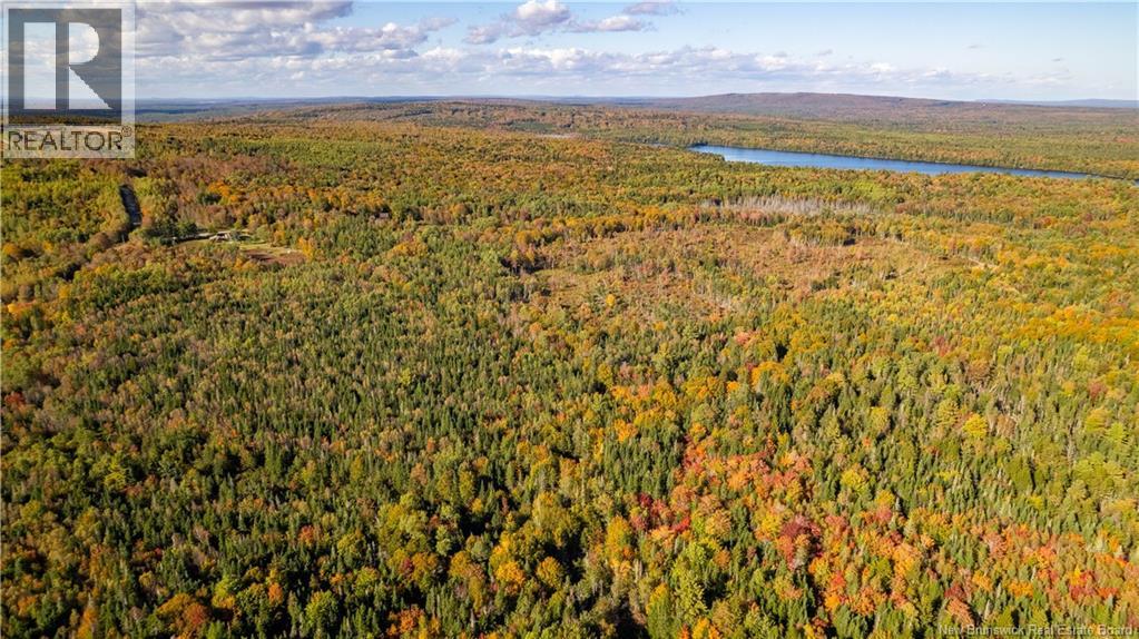 Lot Clatter Road, Rollingdam, New Brunswick  E5A 2Y9 - Photo 9 - NB127781
