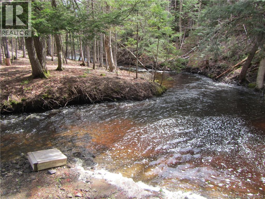 Cottages + Lot Rte 515, Sainte-Marie-De-Kent, New Brunswick E4S 2G4 - Photo 33 - NB127794