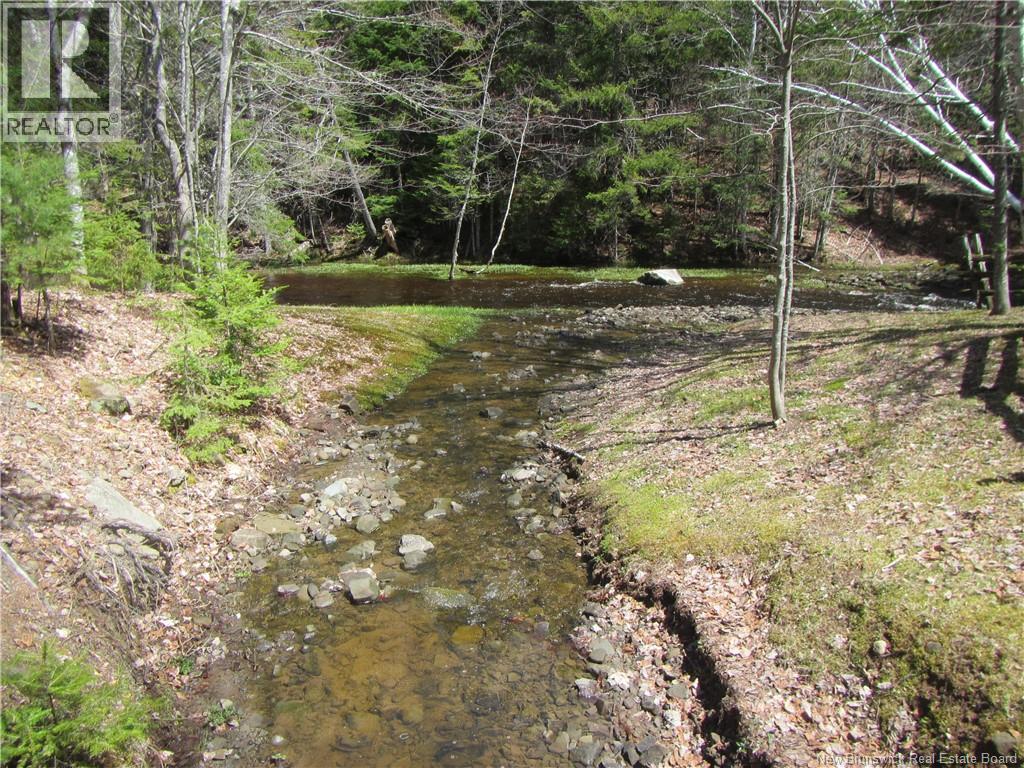 Cottages + Lot Rte 515, Sainte-Marie-De-Kent, New Brunswick E4S 2G4 - Photo 35 - NB127794