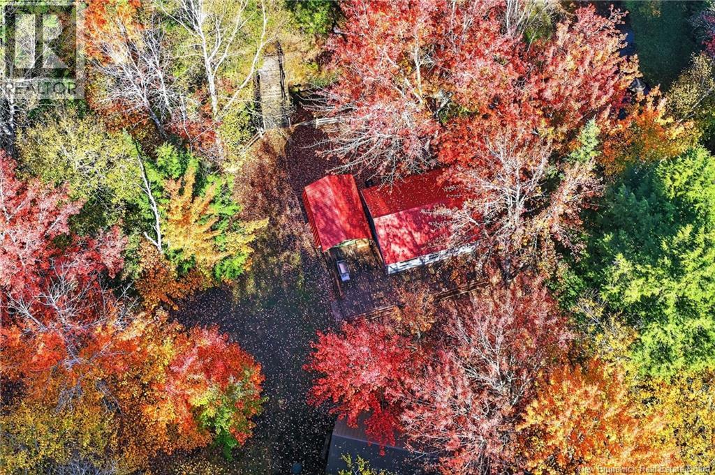 Cottages + Lot Rte 515, Sainte-Marie-De-Kent, New Brunswick E4S 2G4 - Photo 40 - NB127794