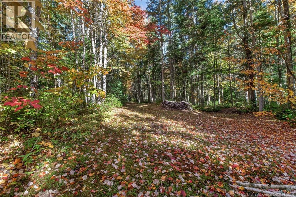 Cottages + Lot Rte 515, Sainte-Marie-De-Kent, New Brunswick E4S 2G4 - Photo 43 - NB127794