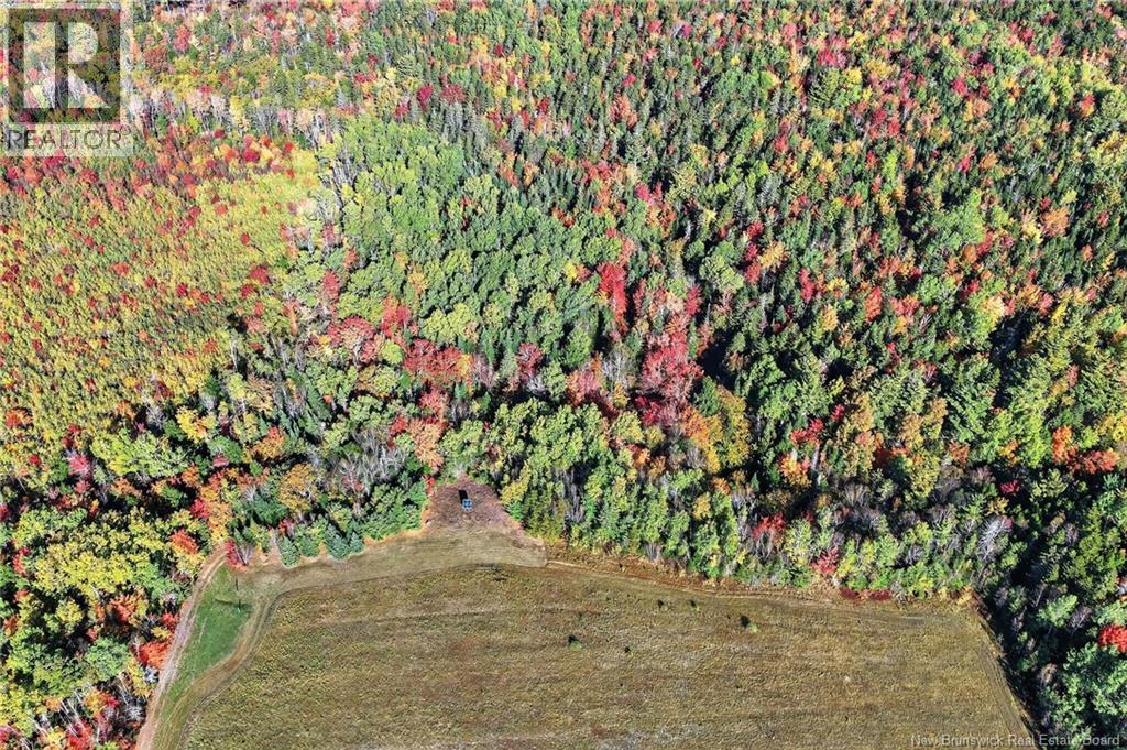 Cottages + Lot Rte 515, Sainte-Marie-De-Kent, New Brunswick E4S 2G4 - Photo 44 - NB127794