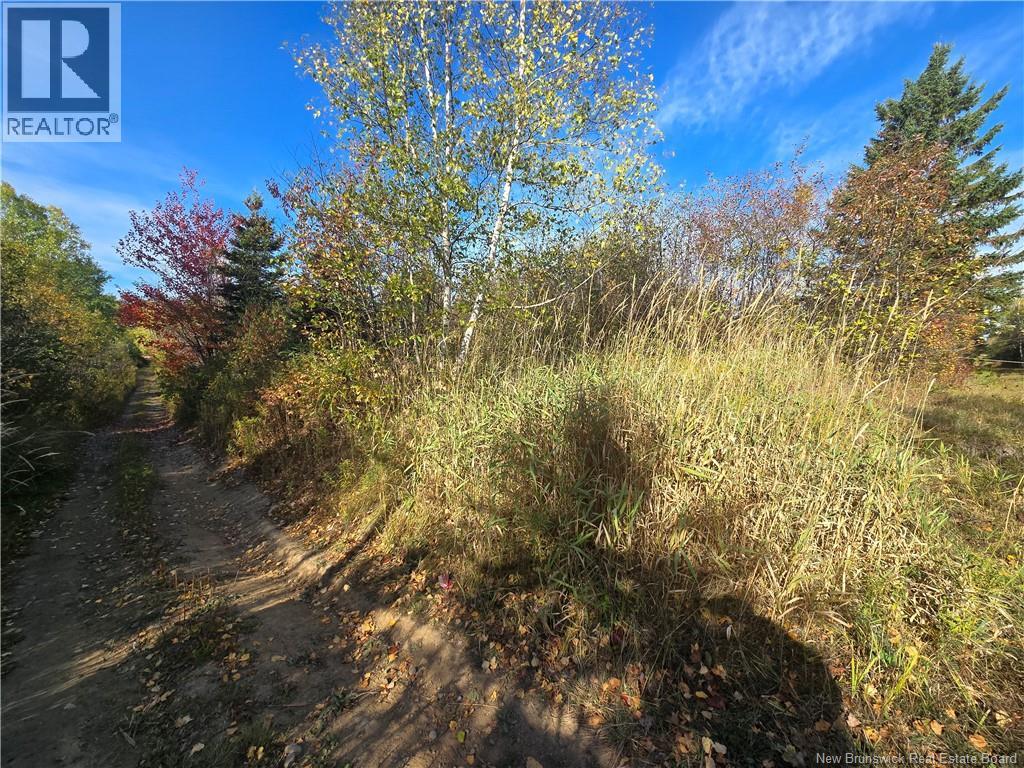 14.97 Acres Chemin Saulnier Ouest, Canton Des Basques, New Brunswick E1X 2G6 - Photo 2 - NB127603