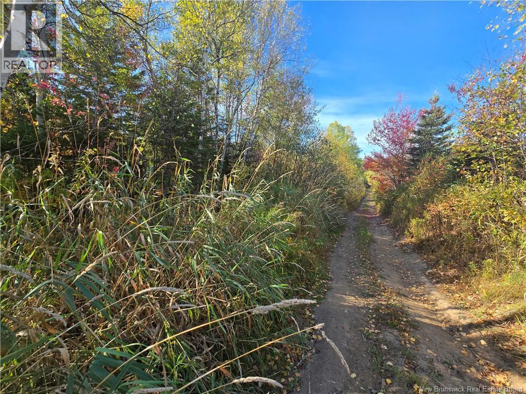 14.97 Acres Chemin Saulnier Ouest, Canton Des Basques, New Brunswick E1X 2G6 - Photo 7 - NB127603