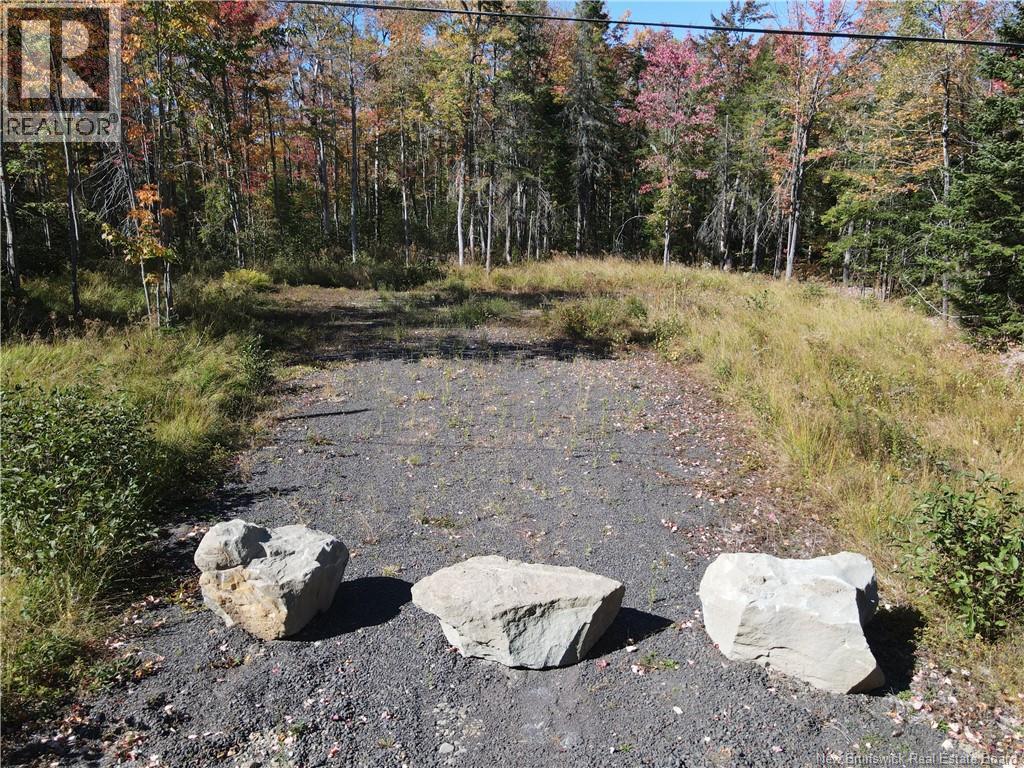 Lot 5 Wuhrs Beach Road, Flowers Cove, New Brunswick  E4B 2G2 - Photo 2 - NB127817