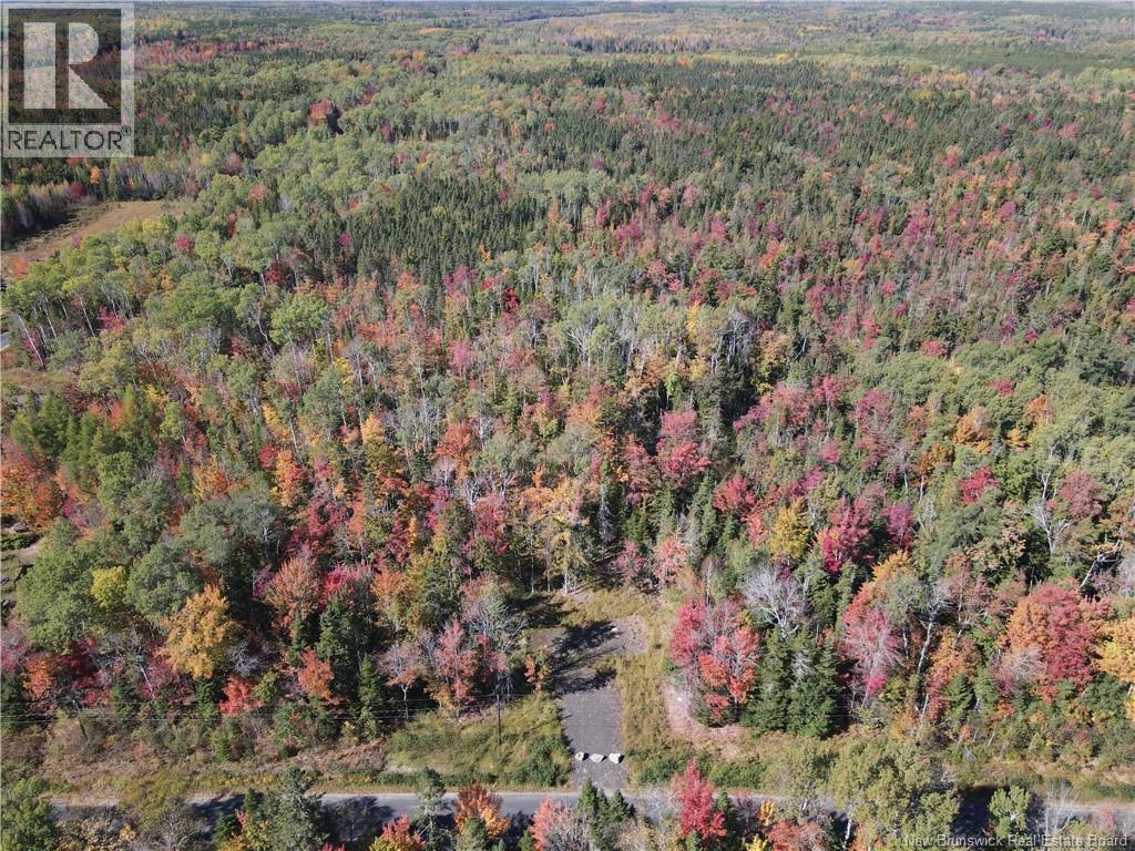 Lot 5 Wuhrs Beach Road, Flowers Cove, New Brunswick  E4B 2G2 - Photo 7 - NB127817