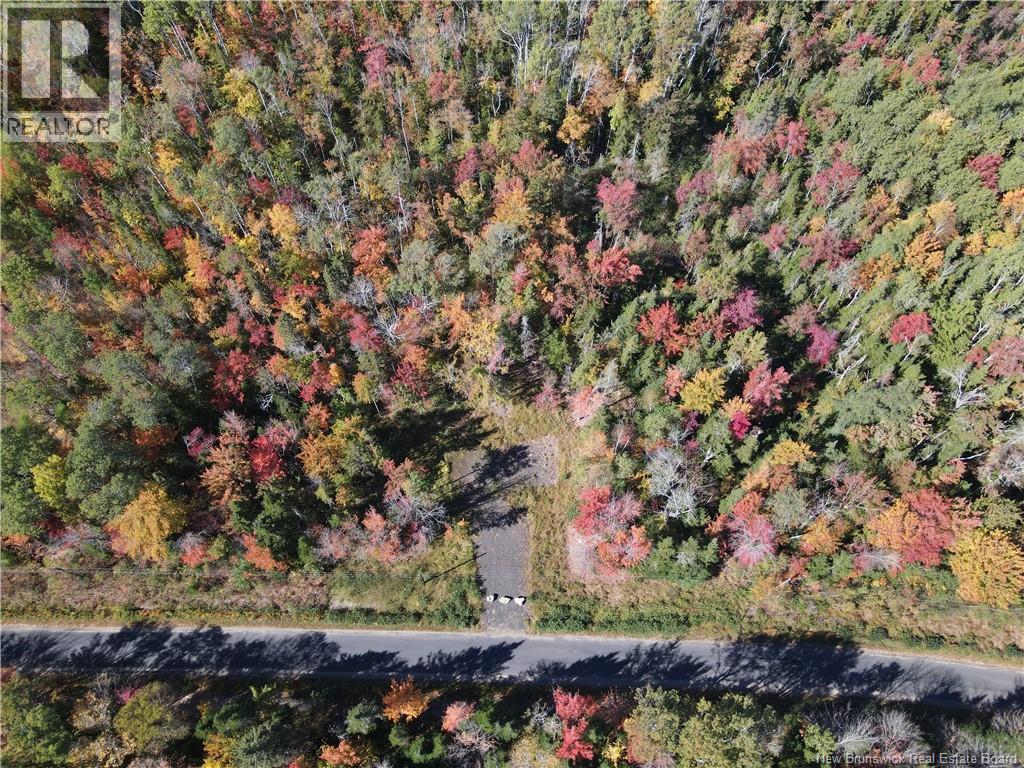 Lot 5 Wuhrs Beach Road, Flowers Cove, New Brunswick  E4B 2G2 - Photo 8 - NB127817