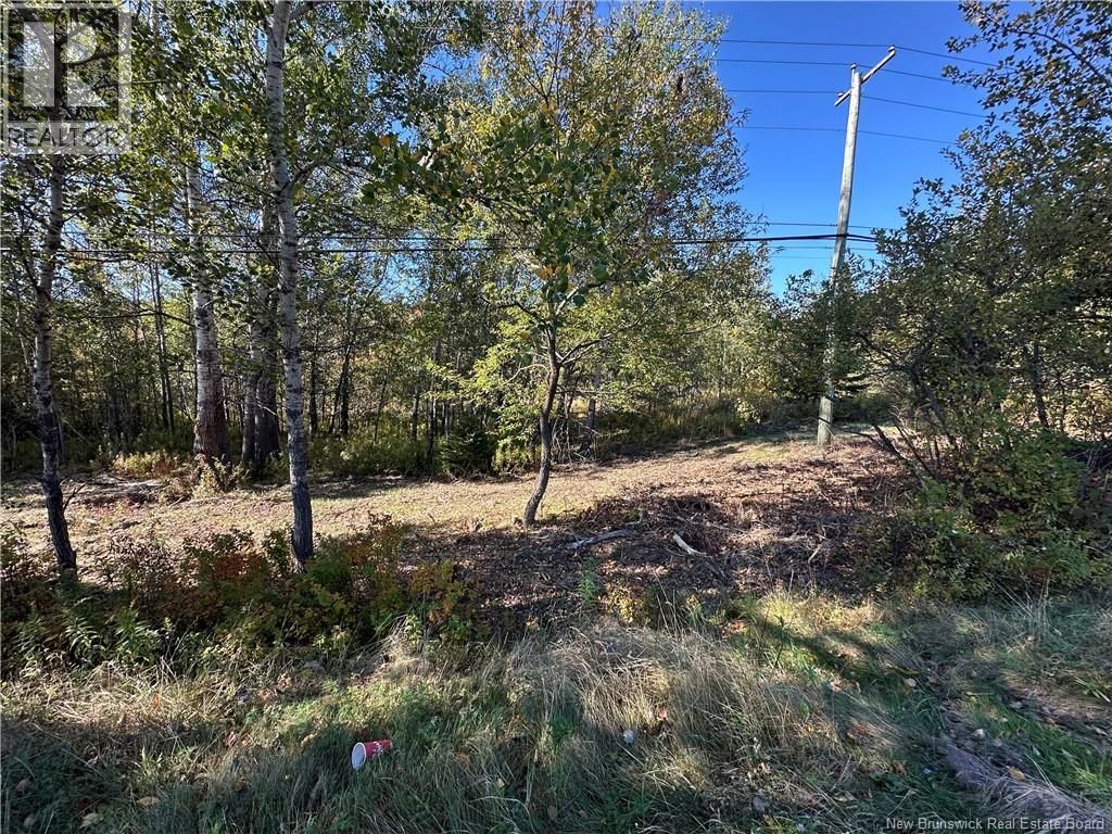 73-4 Route 124, Norton, New Brunswick  E5T 1R6 - Photo 3 - NB127831