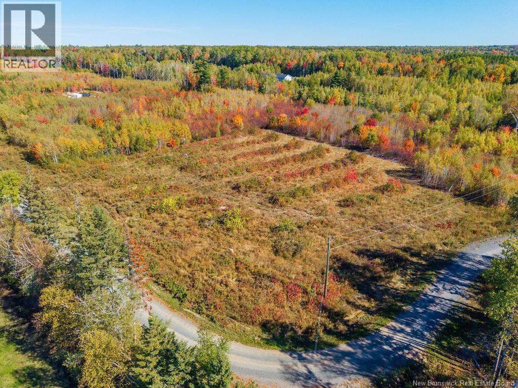 Lot 2023-3 Route 425, Strathadam, New Brunswick  E1V 4H1 - Photo 12 - NB127958