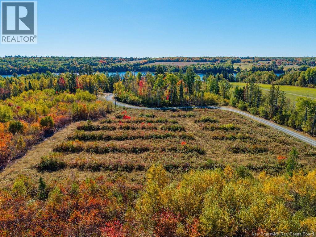 Lot 2023-3 Route 425, Strathadam, New Brunswick  E1V 4H1 - Photo 14 - NB127958