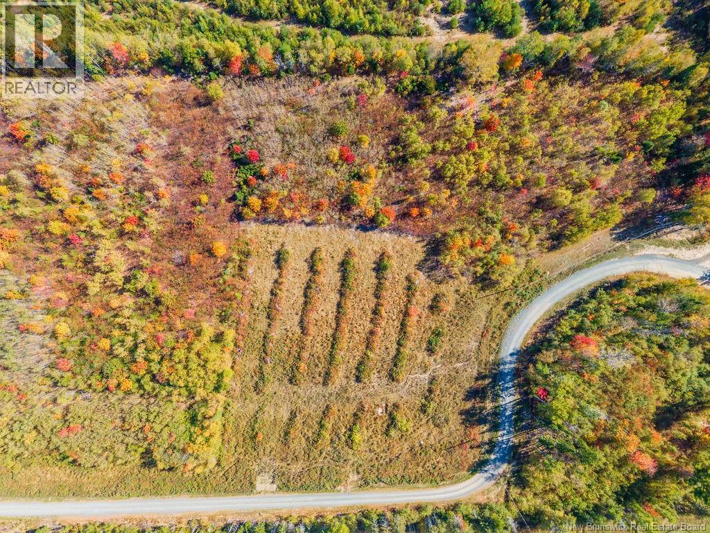 Lot 2023-3 Route 425, Strathadam, New Brunswick  E1V 4H1 - Photo 5 - NB127958