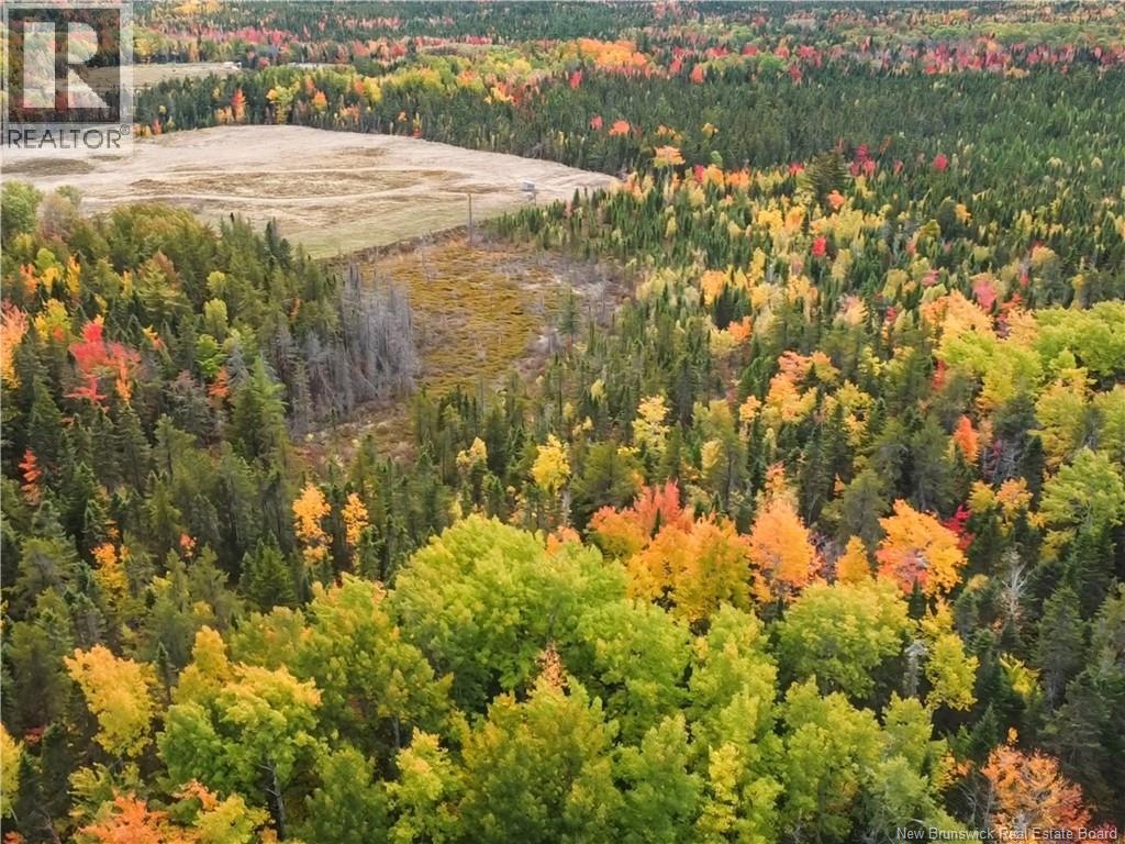 867 Pine Glen Road, Riverview, New Brunswick  E1J 1R7 - Photo 1 - NB128069