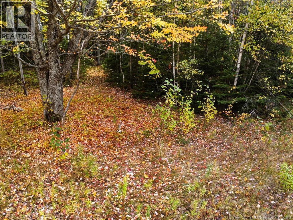 867 Pine Glen Road, Riverview, New Brunswick  E1J 1R7 - Photo 10 - NB128069