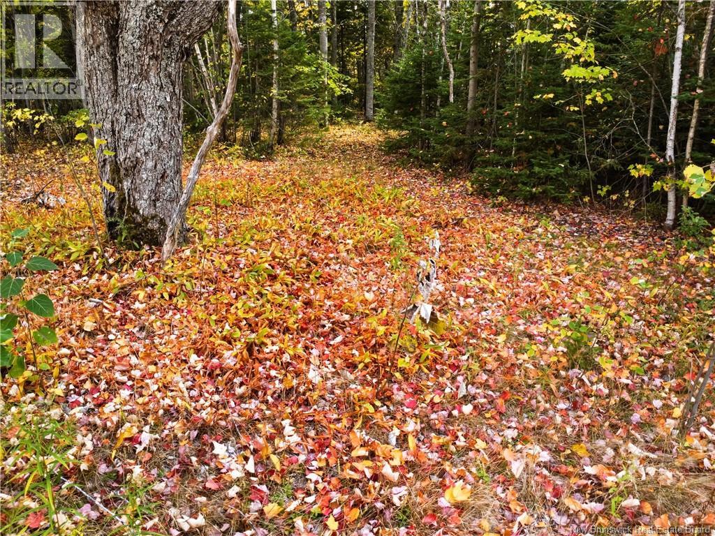 867 Pine Glen Road, Riverview, New Brunswick  E1J 1R7 - Photo 11 - NB128069