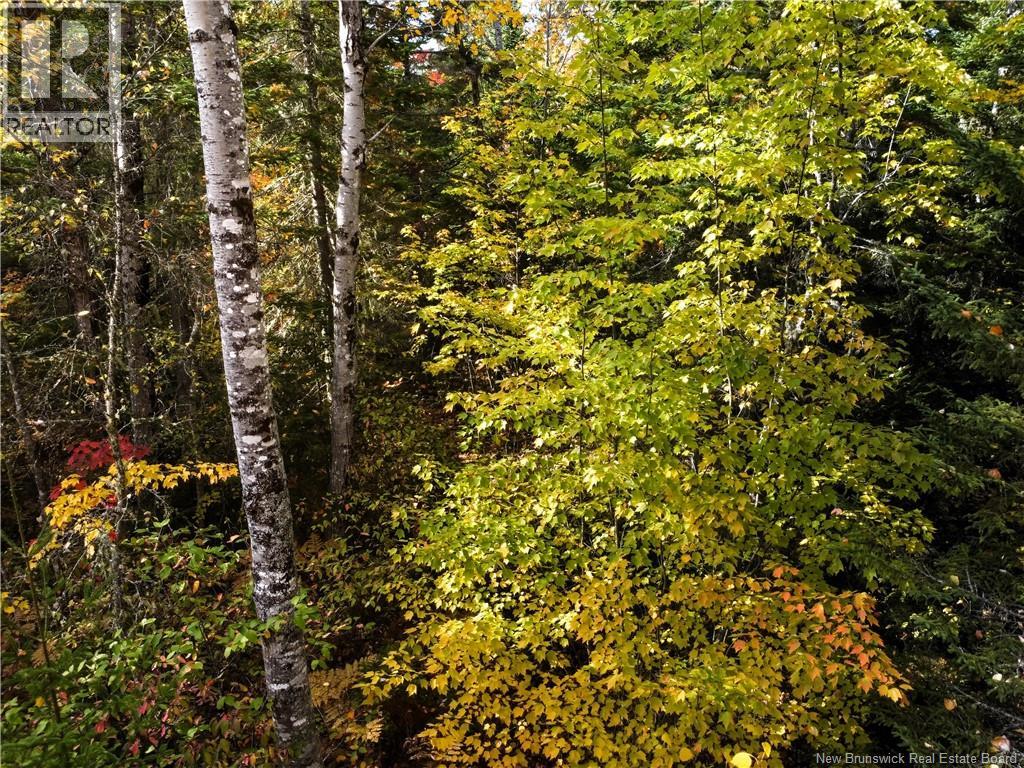 867 Pine Glen Road, Riverview, New Brunswick  E1J 1R7 - Photo 15 - NB128069
