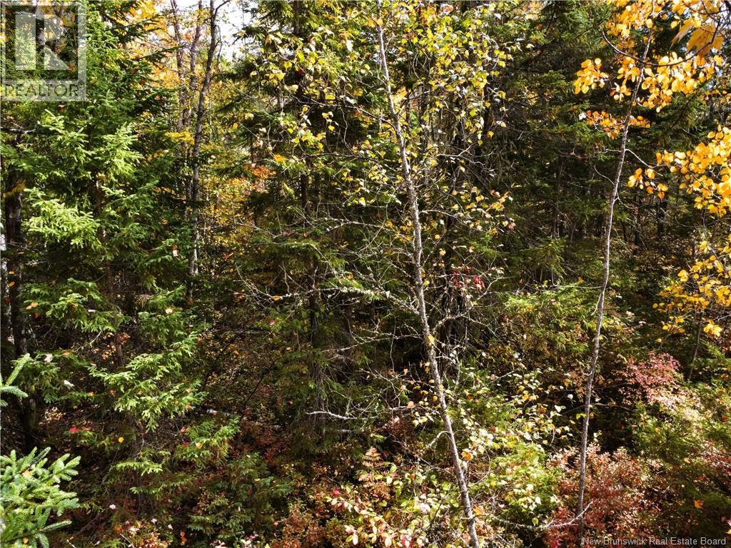 867 Pine Glen Road, Riverview, New Brunswick  E1J 1R7 - Photo 16 - NB128069