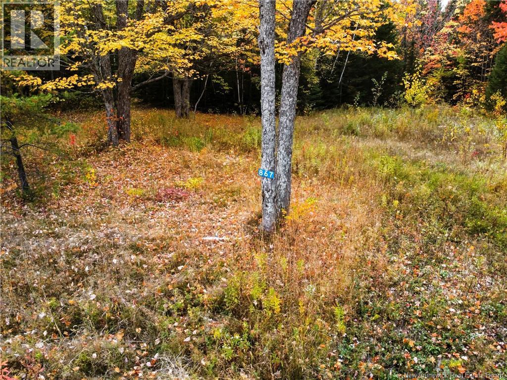 867 Pine Glen Road, Riverview, New Brunswick  E1J 1R7 - Photo 17 - NB128069