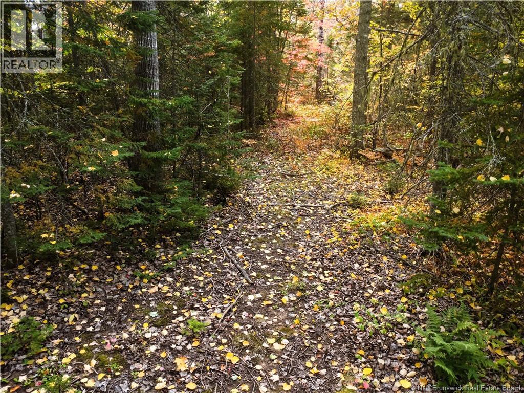 867 Pine Glen Road, Riverview, New Brunswick  E1J 1R7 - Photo 19 - NB128069