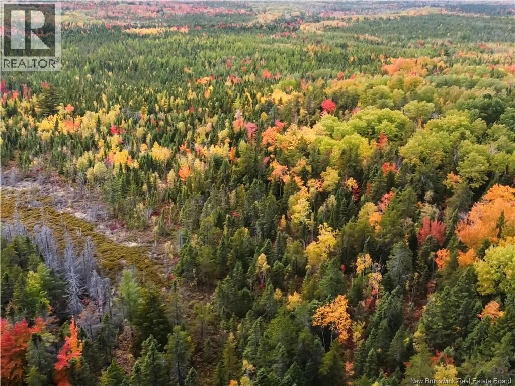 867 Pine Glen Road, Riverview, New Brunswick  E1J 1R7 - Photo 3 - NB128069