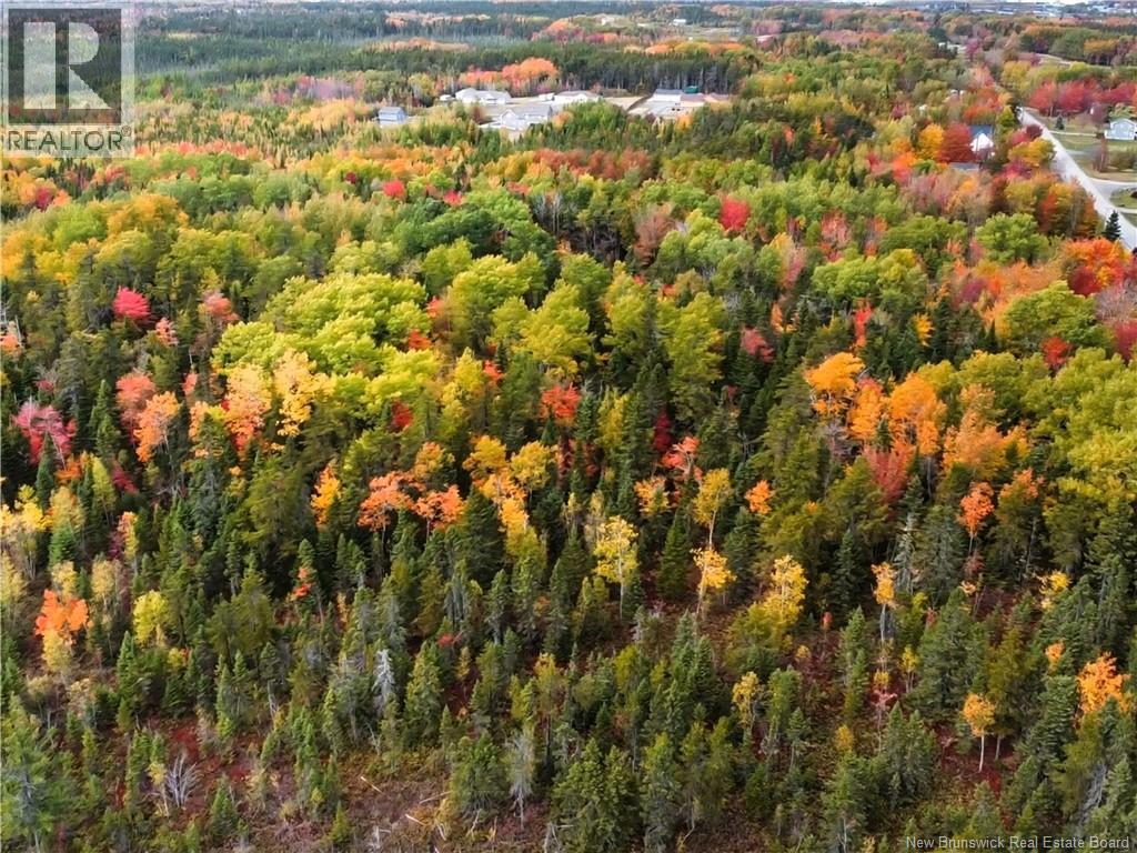 867 Pine Glen Road, Riverview, New Brunswick  E1J 1R7 - Photo 4 - NB128069