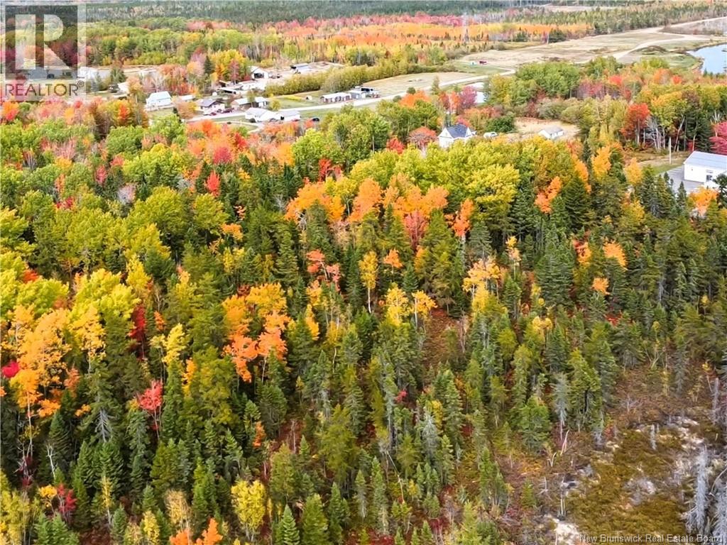 867 Pine Glen Road, Riverview, New Brunswick  E1J 1R7 - Photo 5 - NB128069