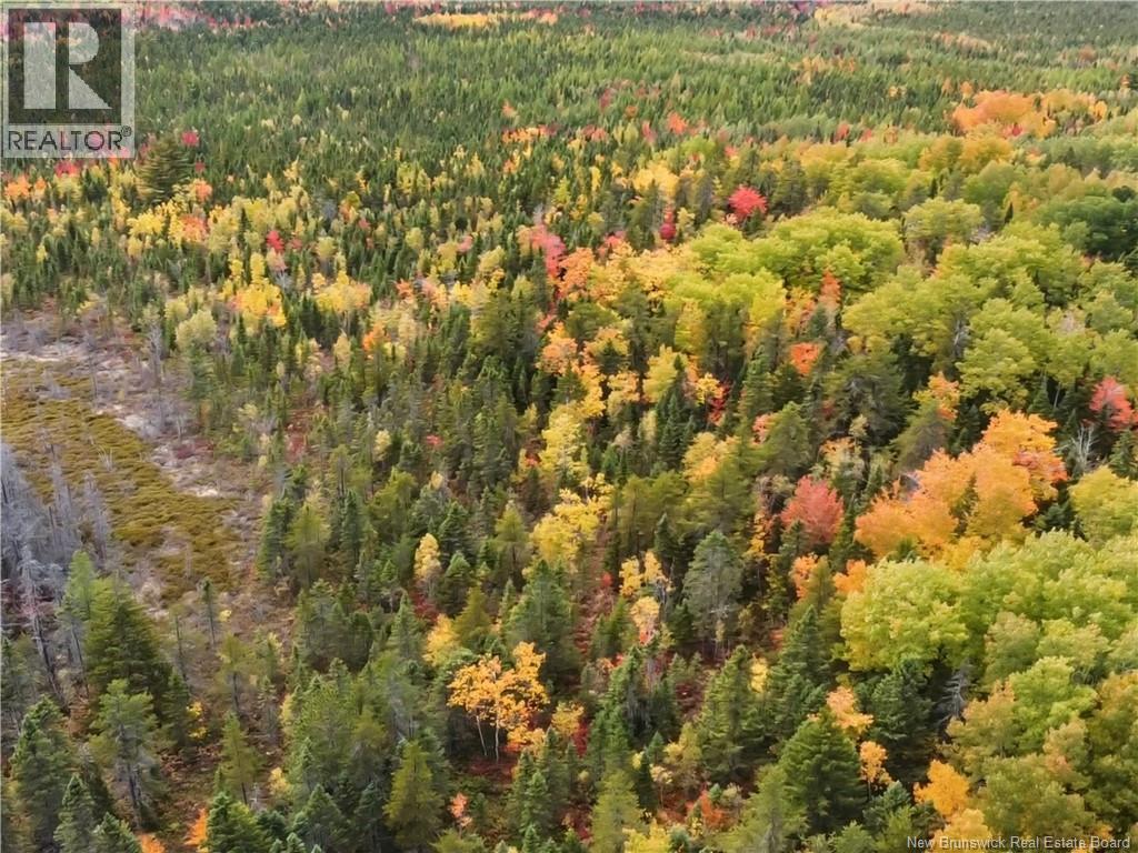 867 Pine Glen Road, Riverview, New Brunswick  E1J 1R7 - Photo 7 - NB128069