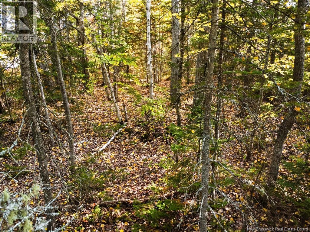 867 Pine Glen Road, Riverview, New Brunswick  E1J 1R7 - Photo 9 - NB128069