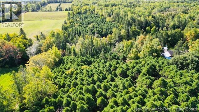 40 Lepage Street, Balmoral, New Brunswick  E8E 1J2 - Photo 3 - NB128073