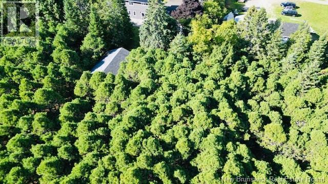 40 Lepage Street, Balmoral, New Brunswick  E8E 1J2 - Photo 5 - NB128073
