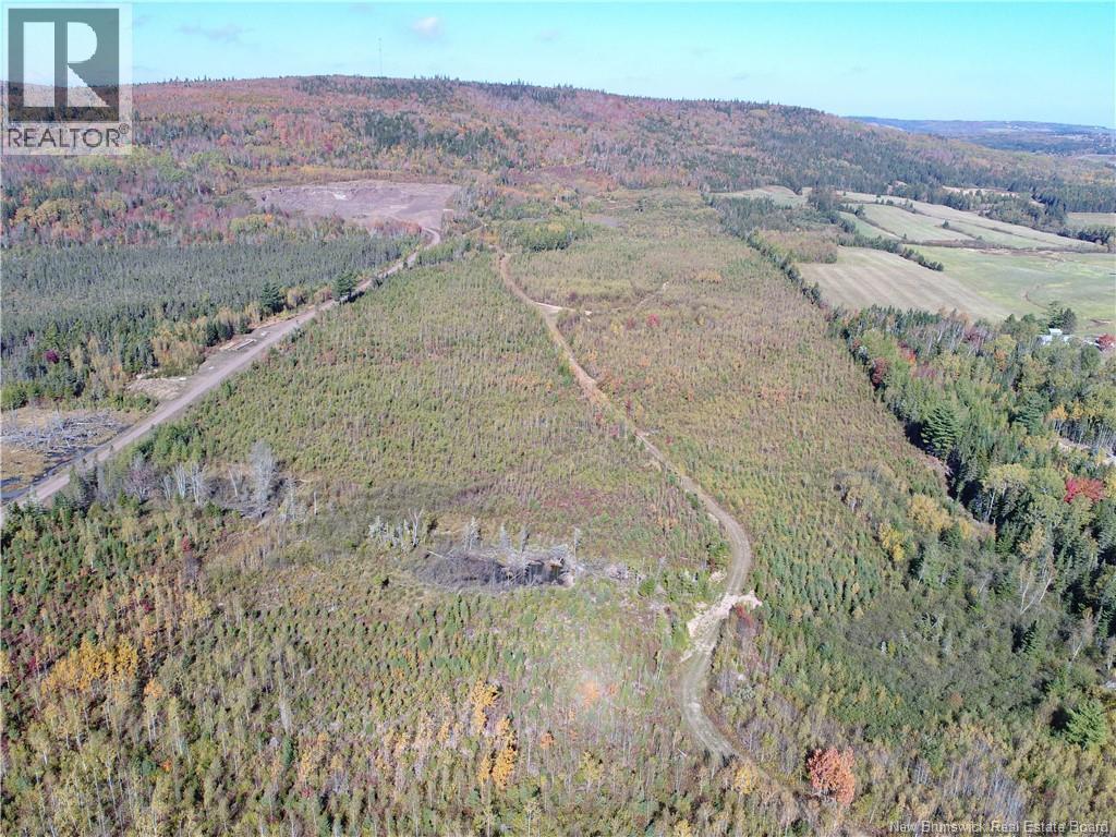 Lot 1 Route 121, Norton, New Brunswick E5T 1P5 - Photo 7 - NB128128