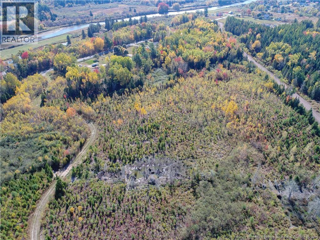 Lot 1 Route 121, Norton, New Brunswick E5T 1P5 - Photo 9 - NB128128