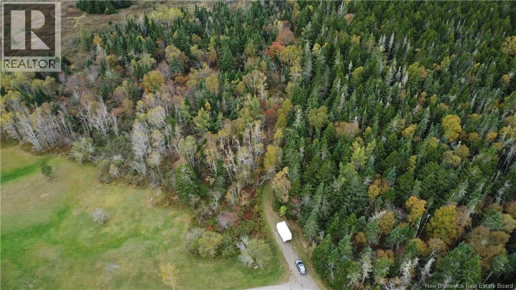 Lot Sam Hatt Road, Letang, New Brunswick  E5C 1Z9 - Photo 29 - NB127779