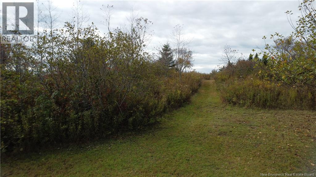 Lot Sam Hatt Road, Letang, New Brunswick  E5C 1Z9 - Photo 3 - NB127779
