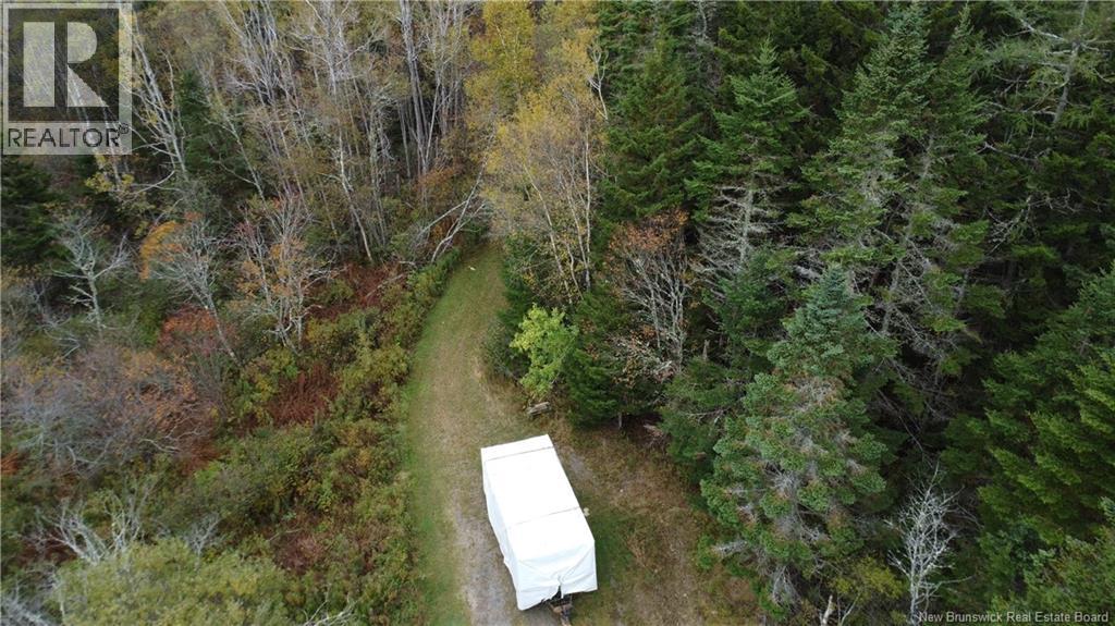 Lot Sam Hatt Road, Letang, New Brunswick  E5C 1Z9 - Photo 32 - NB127779