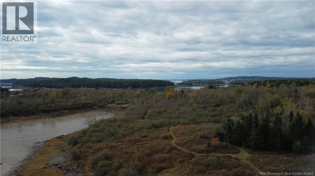 Lot Sam Hatt Road, Letang, New Brunswick  E5C 1Z9 - Photo 4 - NB127779