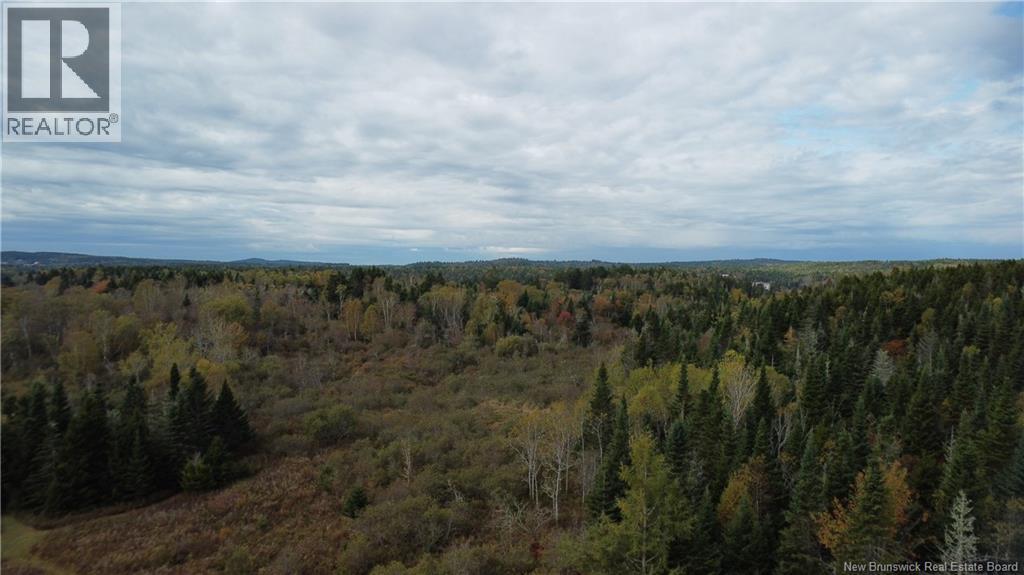 Lot Sam Hatt Road, Letang, New Brunswick  E5C 1Z9 - Photo 5 - NB127779