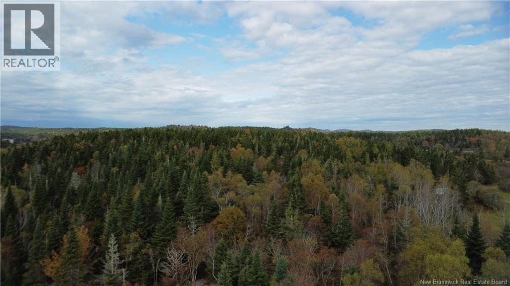 Lot Sam Hatt Road, Letang, New Brunswick  E5C 1Z9 - Photo 6 - NB127779